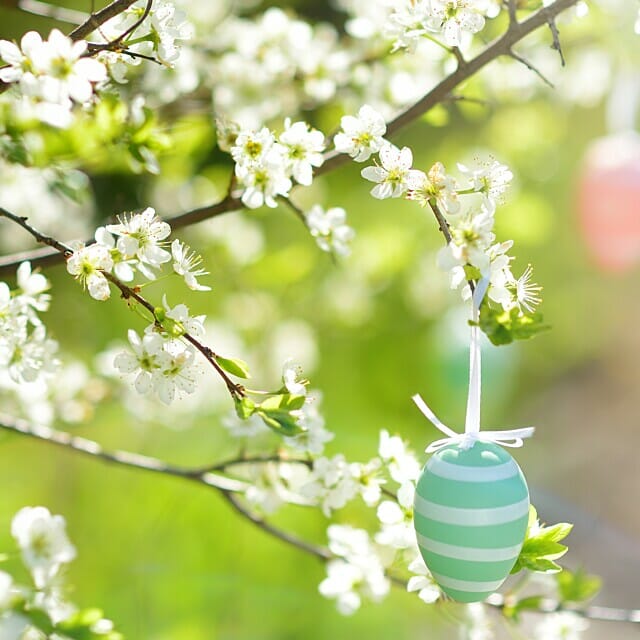 Falkenstein Grand Ostern über den Dächern von Frankfurt am Main