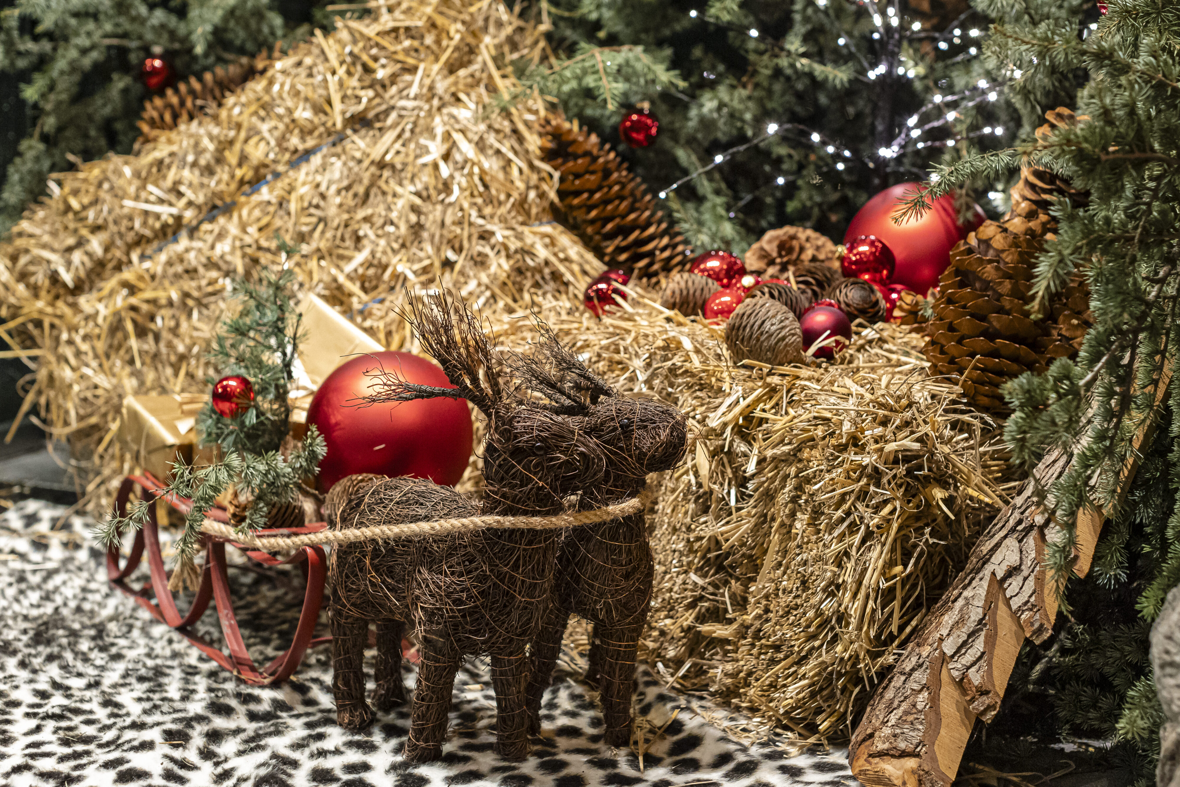 Falkenstein Grand Weihnachtsmarkt am 1. Dezember 2024